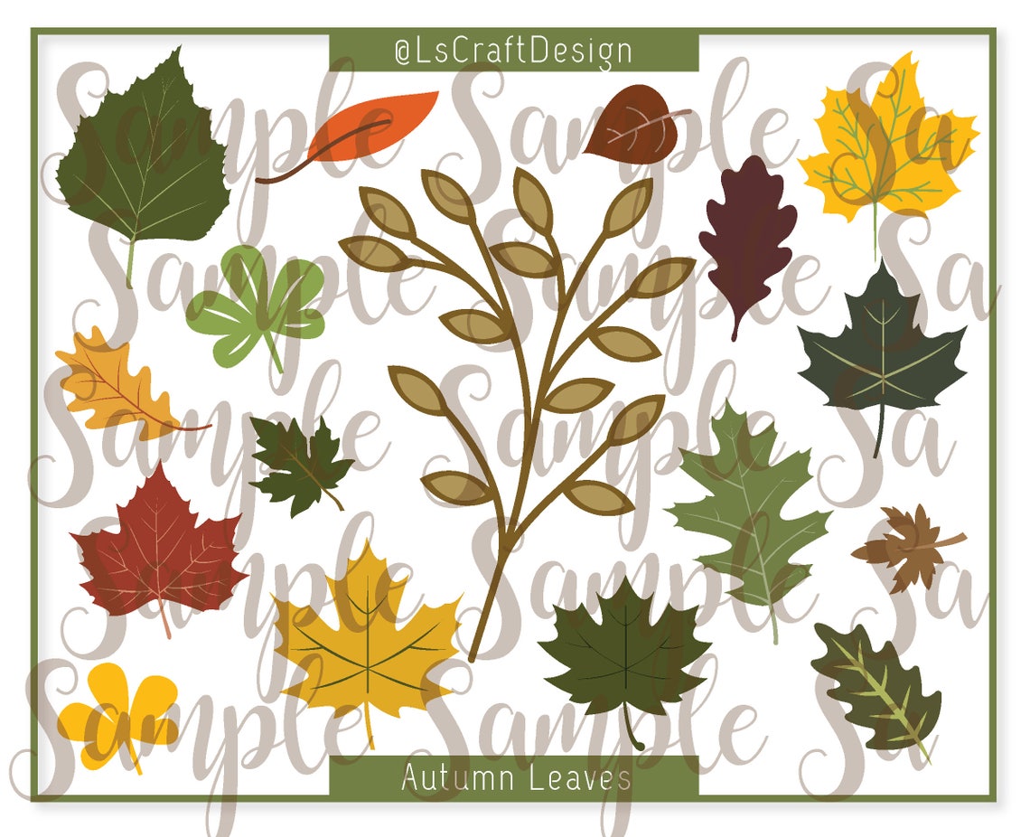 Autumn Leaves SVG Set, Paper Flower Leaves, Cricut/Silhouette (Digital Download)